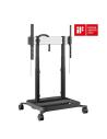 RISE 5308 MOTORIZADO LIF TROLLEY 80