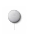 GOOGLE  NEST MINI TIZA