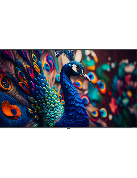 Monitor Signage Newline 43" Android 14 Wifi