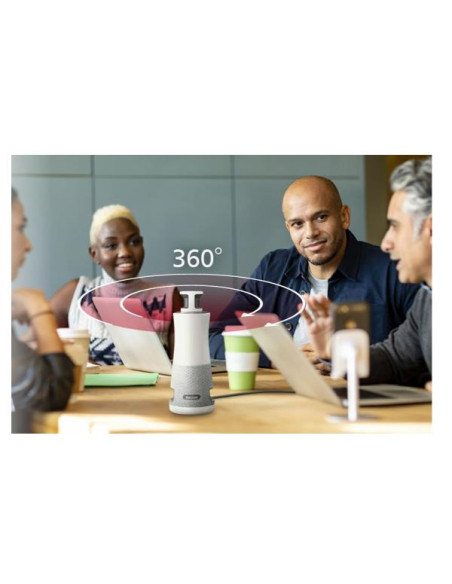 RICOH HUB DE REUNION 360